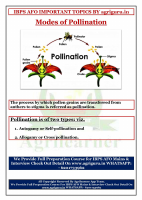 pollination 1st.pdf
